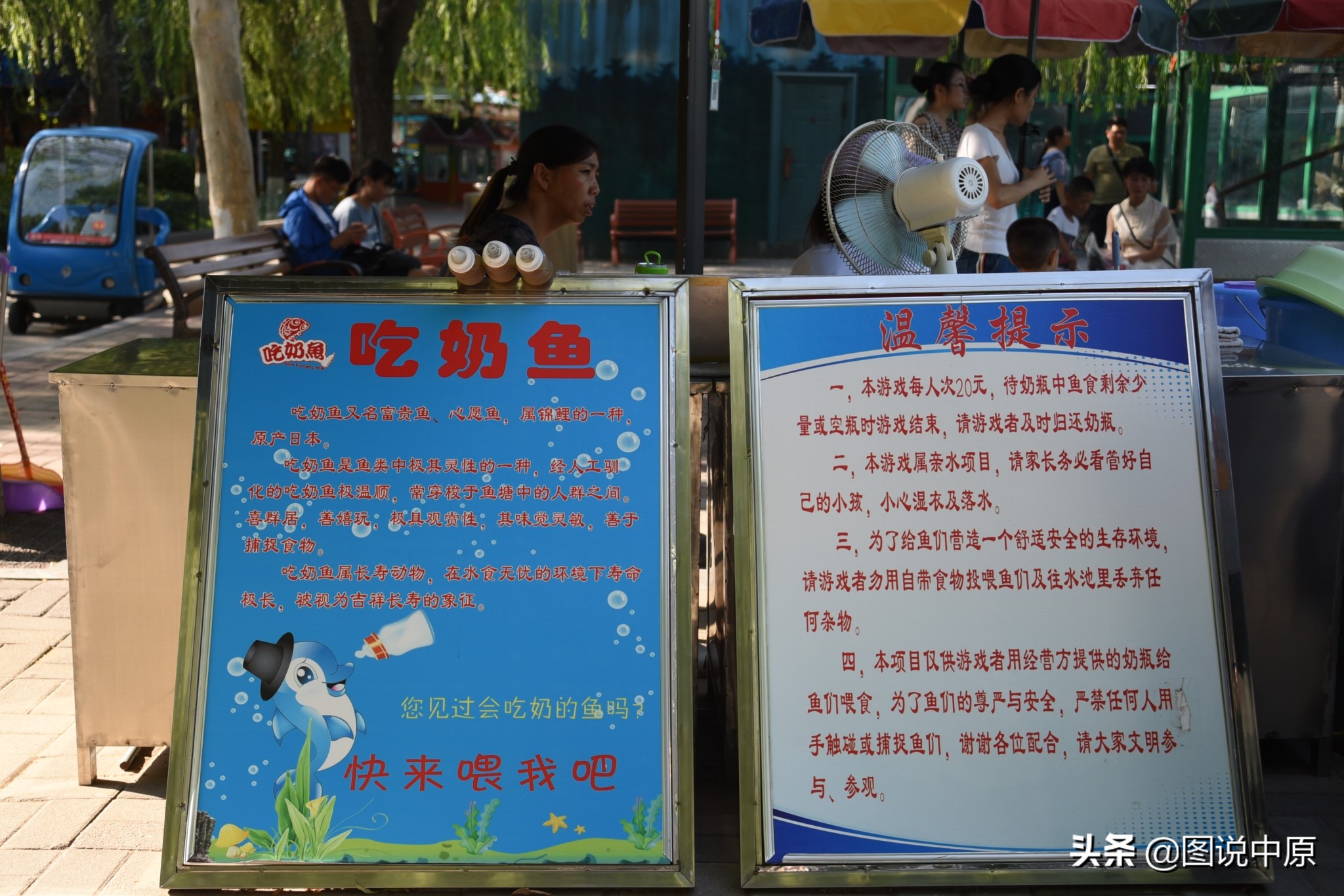 吃奶鱼项目怎么样吃奶鱼生意好做吗赚钱吗