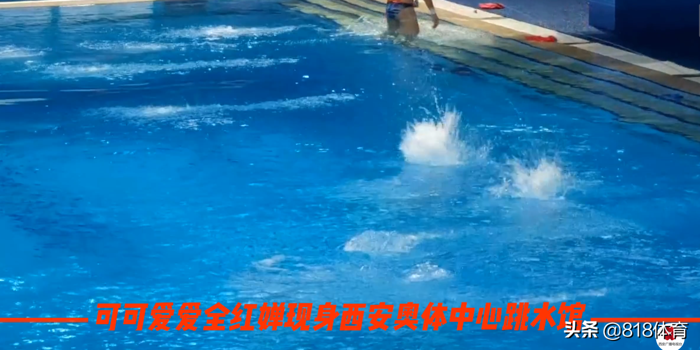 排面!全红婵全运会训练引20人10米台围观,伸脖子往下看水花消失术