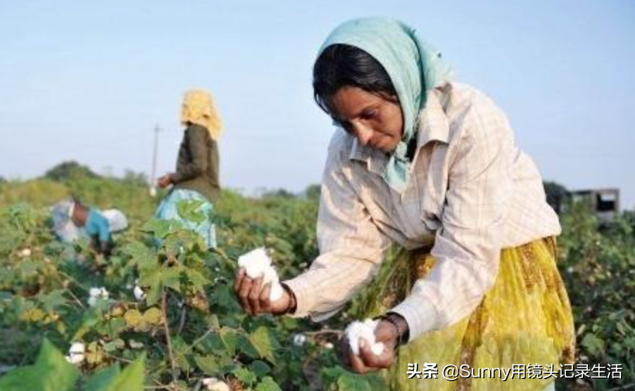 美国亚马逊疑下架全部中国棉制品！中国商户遭新型贸易战围剿