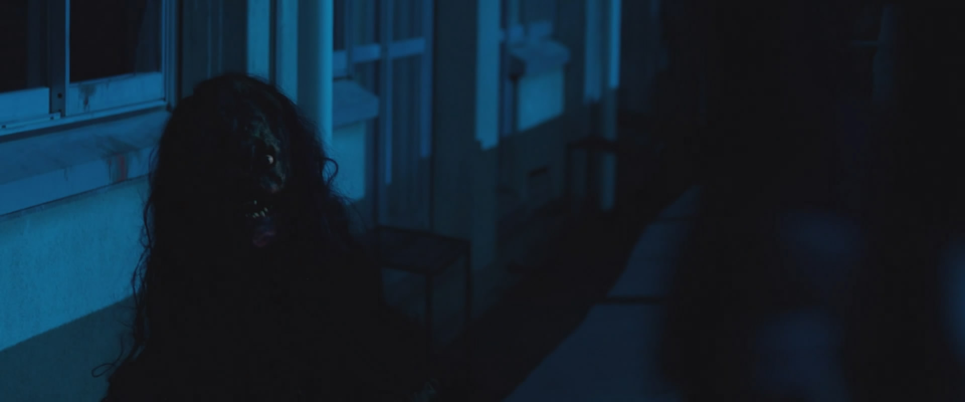 Looking for the body Horror movies are not scary but forcefully