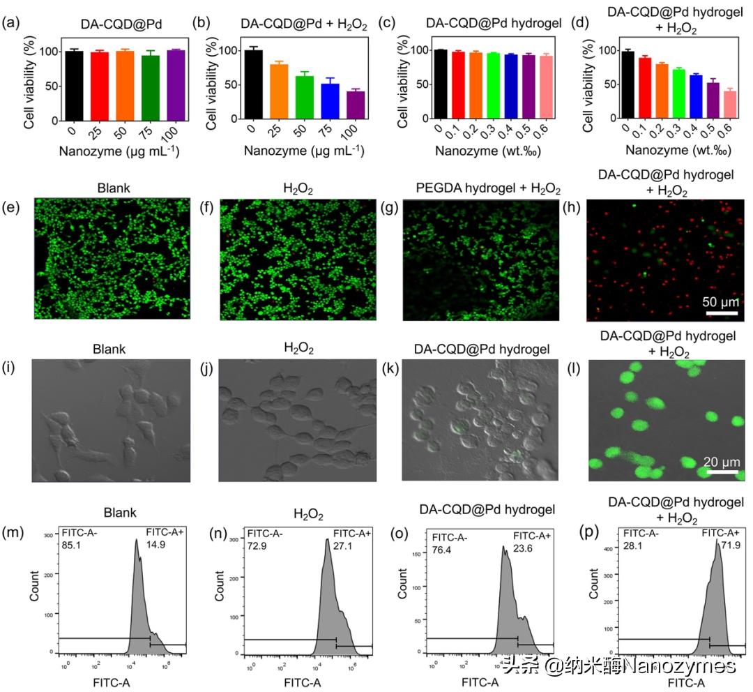 Preparation Of Single-atom Nanozymes By Polyphenol Carbon Quantum Dot ...