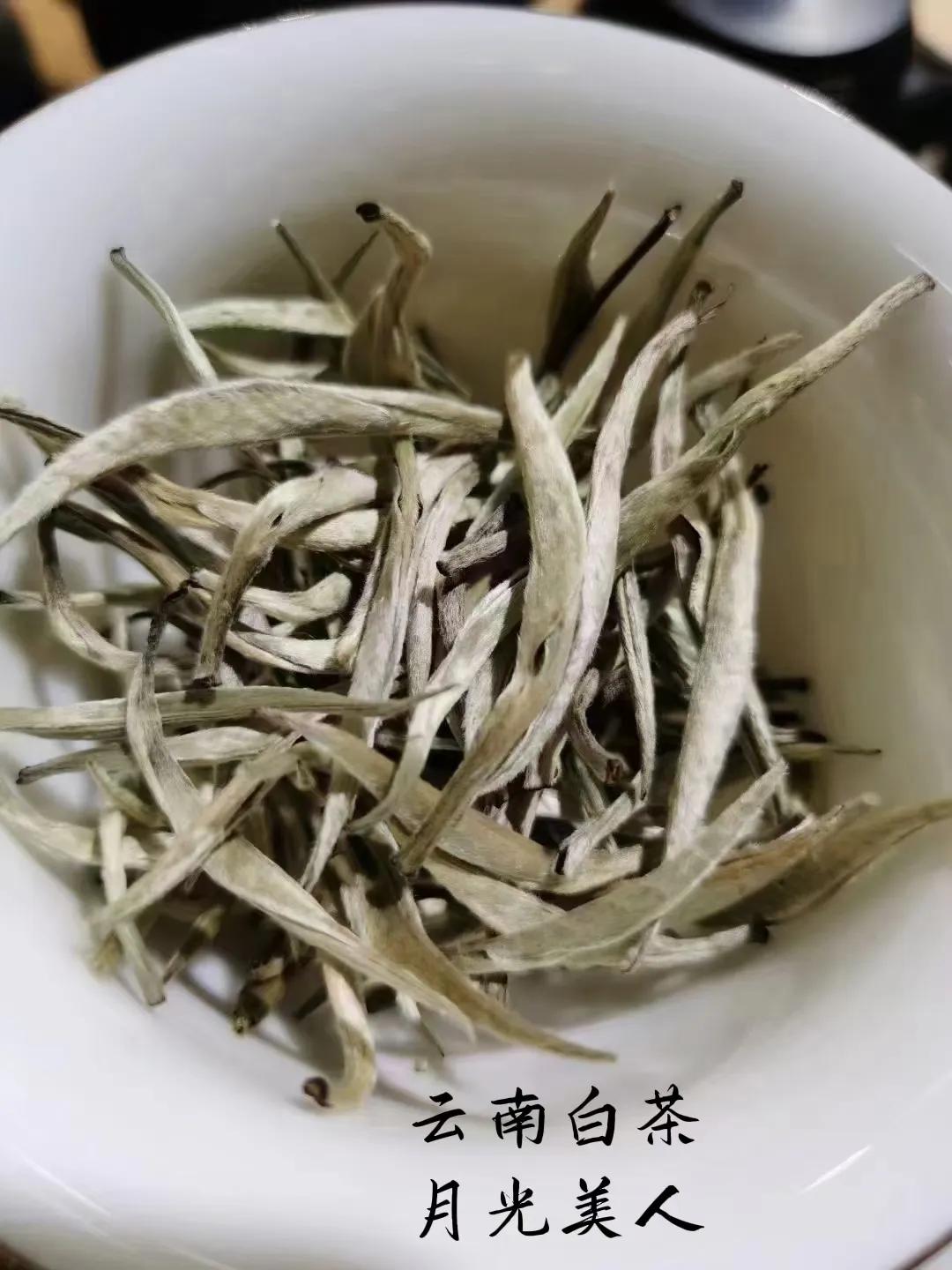 "White tea", one of the six major tea types in China iNEWS