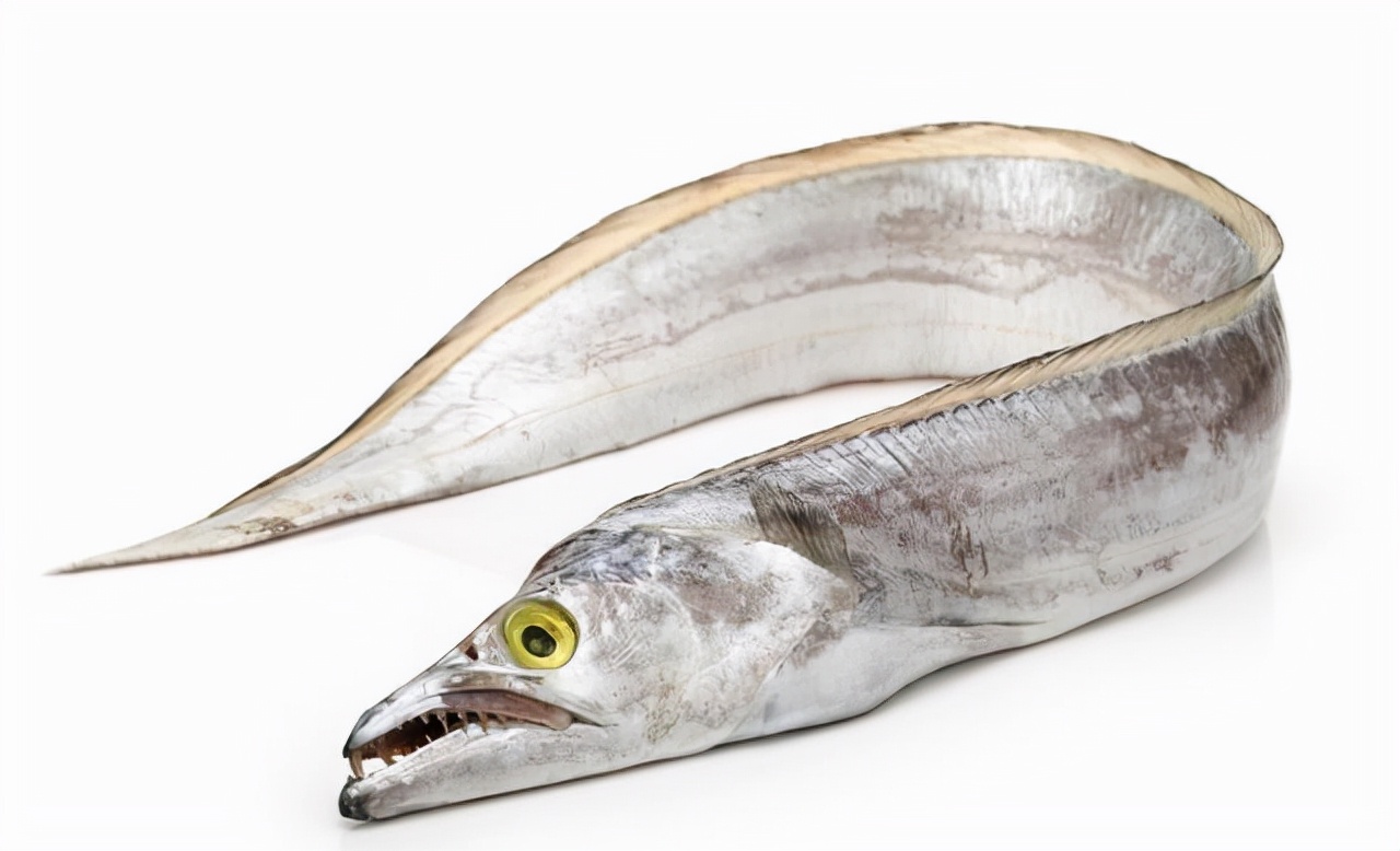 The 50 most common edible fish, don't say you don't know, take a good ...