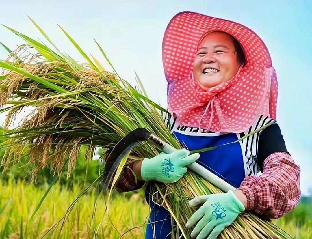 Proverbs Rice Farming Beginning of winter and farming proverbs, fifty-five folk proverbs in ...