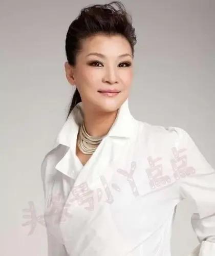 Fan Lin Lin Will the popular singer Fan Linlin make a comeback? - iMedia