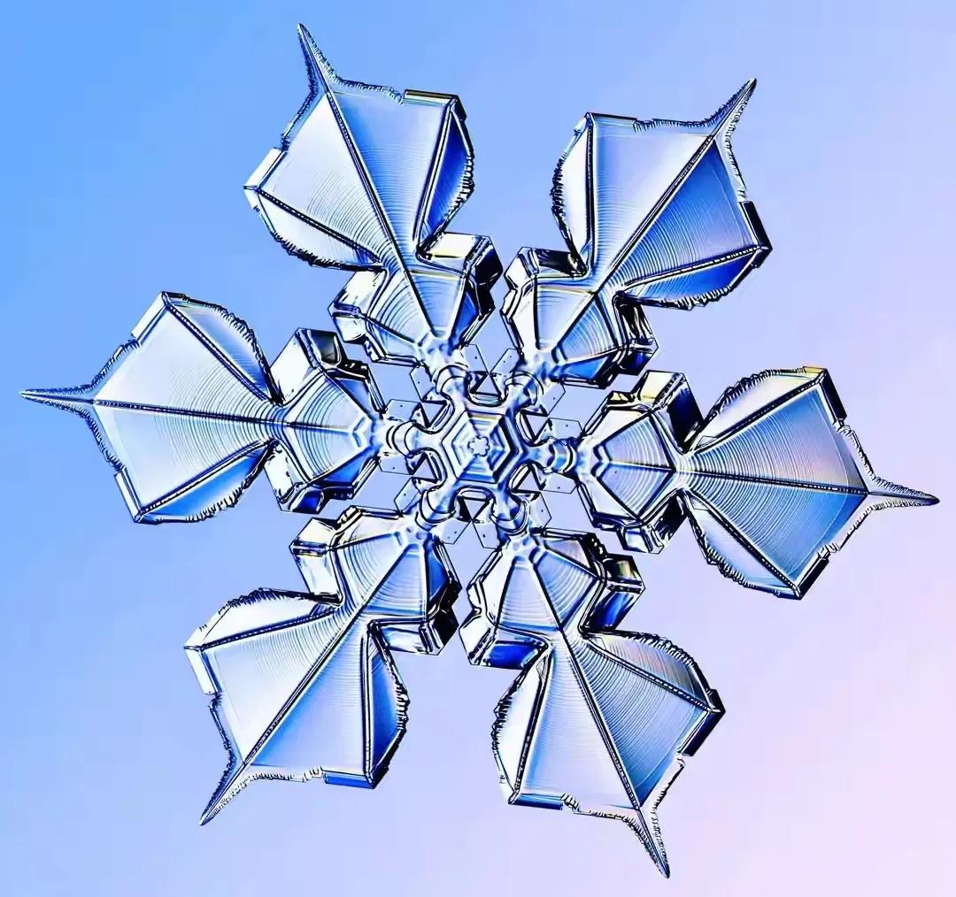 Tsk amazing!Snowflakes under the microscope - iNEWS