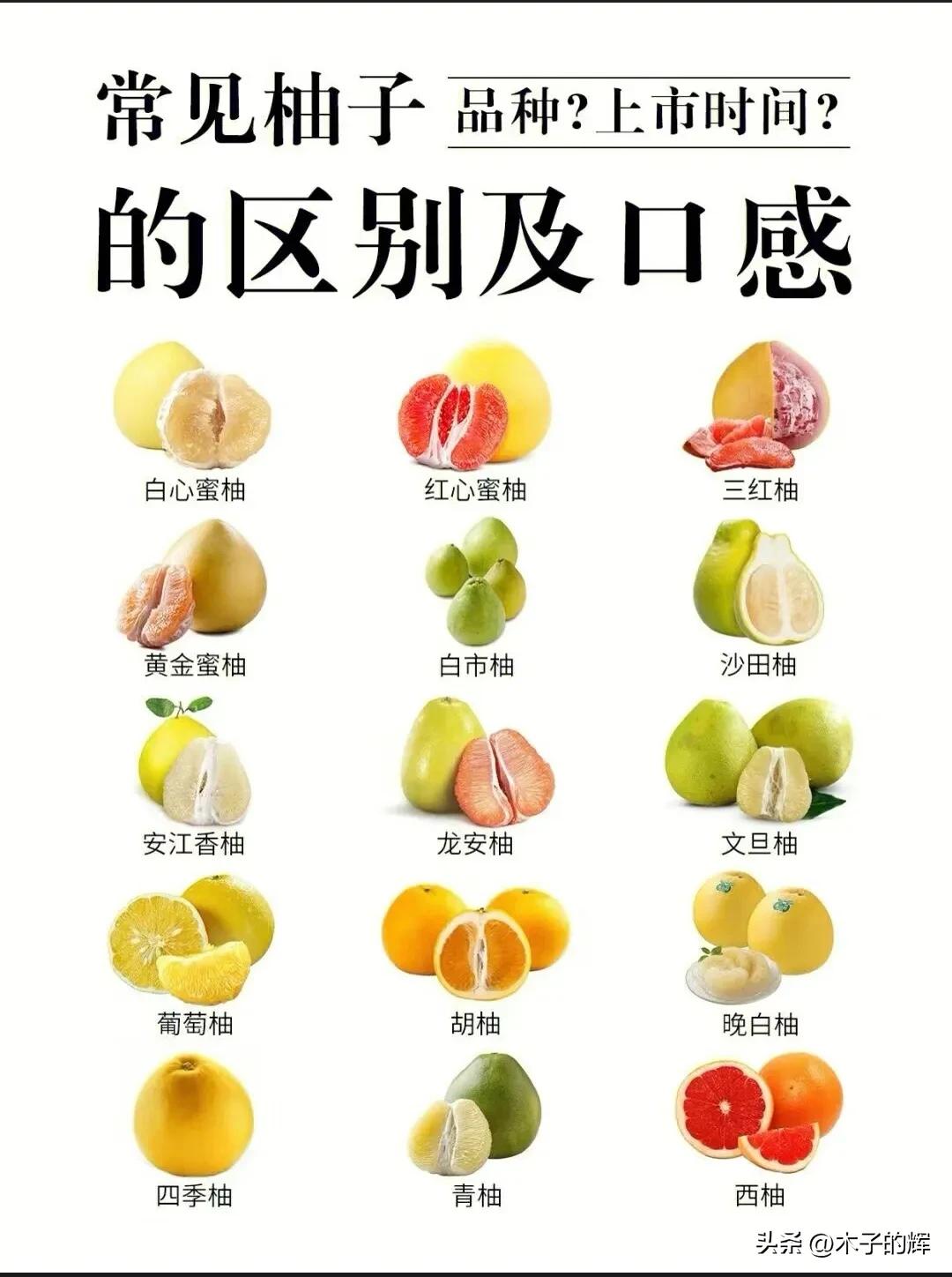 Buy grapefruit and learn these 3 skills to ensure you pick a good