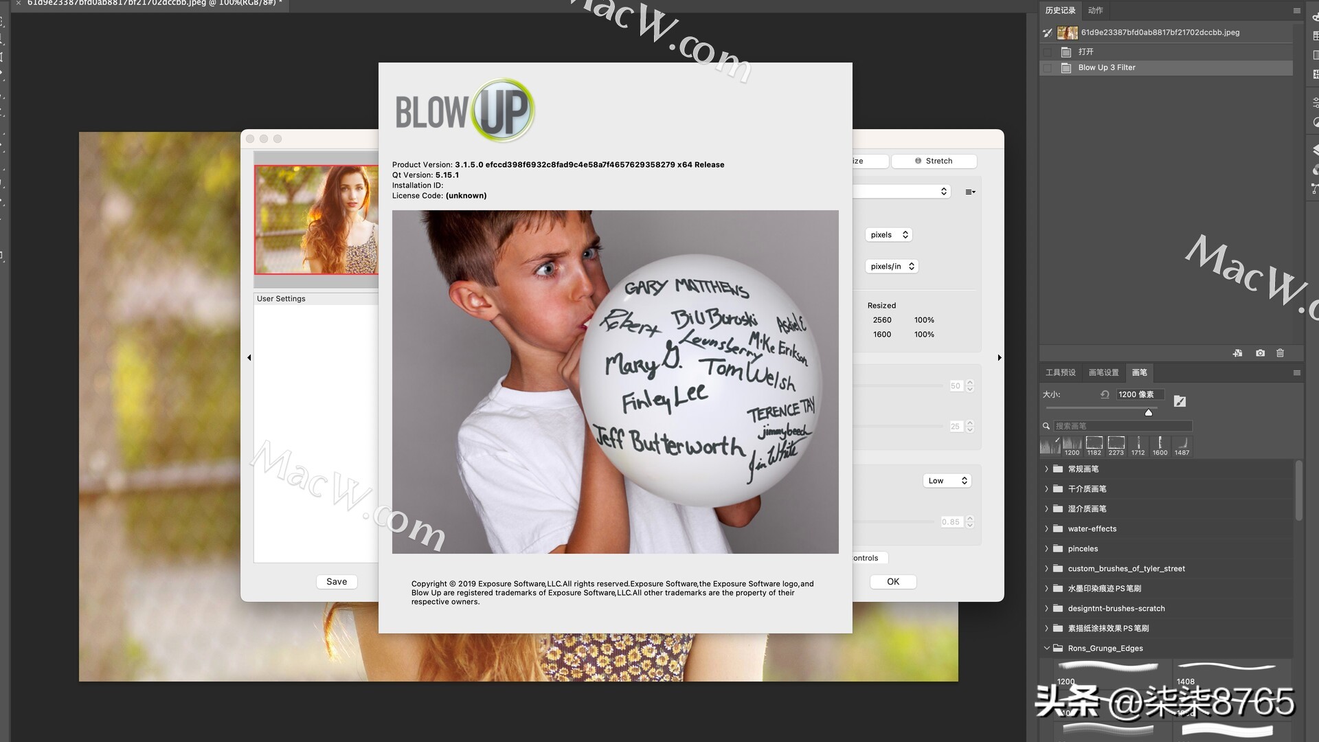 Alien Skin Blow Up 3 for mac (PS image lossless amplification plugin