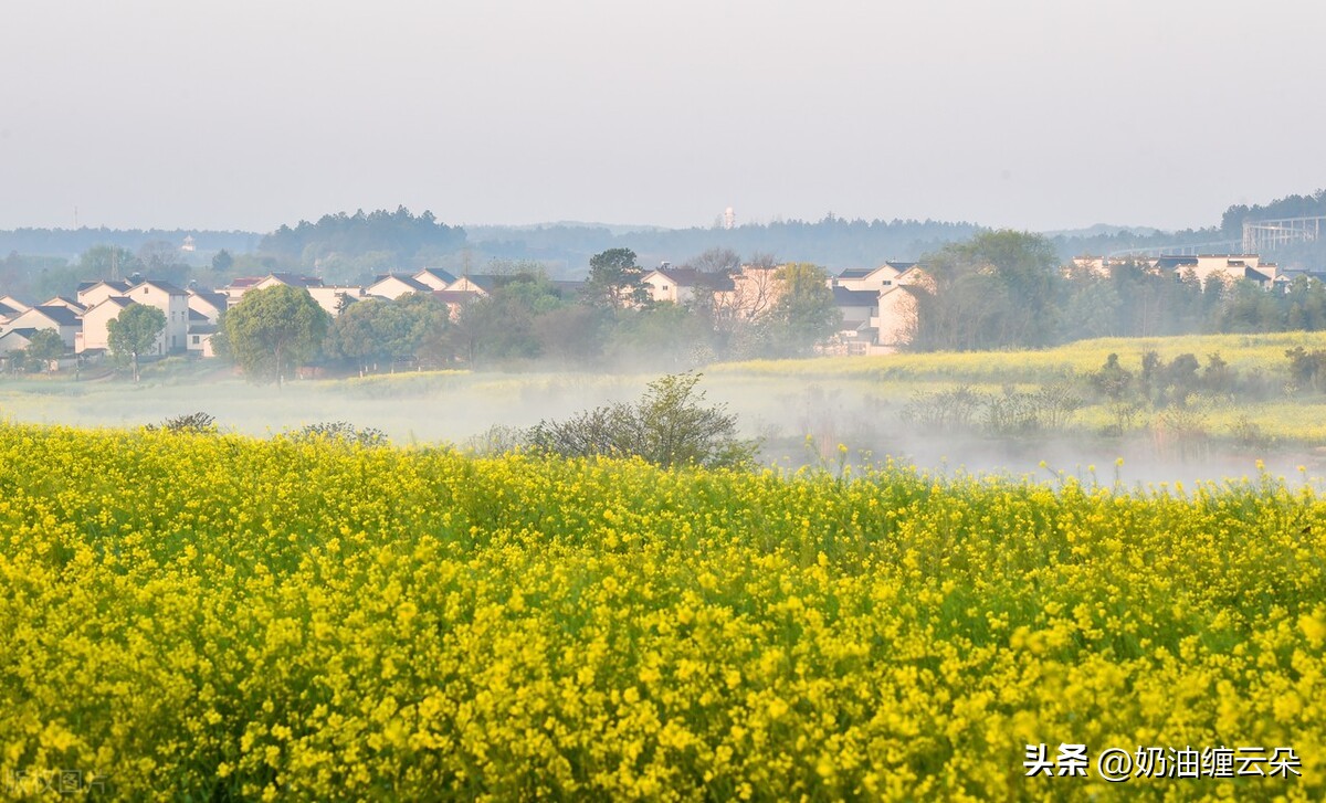 Guide to viewing flowers in April, the vibrant spring with a