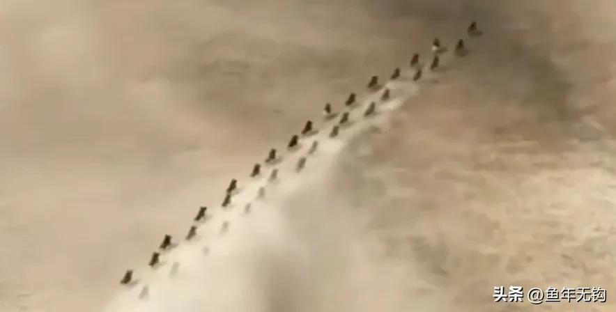 The mystery of a generation of Tianjiao returning to the sky (5): The ...