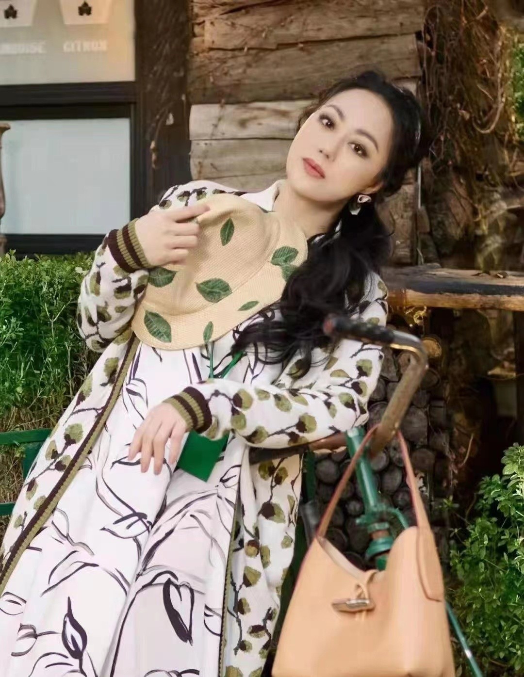 Zhang Xiaohui is too suitable for a gentle dress, elegant and dignified ...