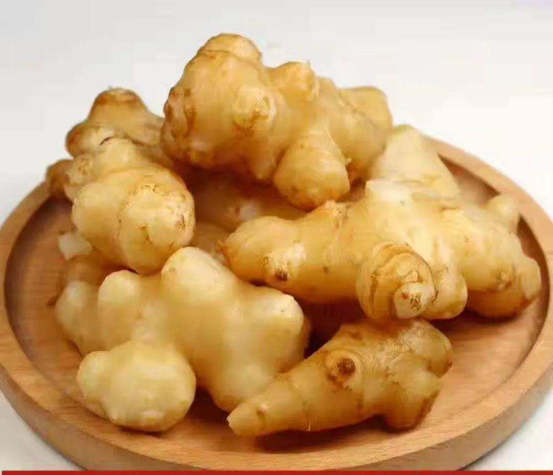 Jerusalem artichoke pickles iMedia