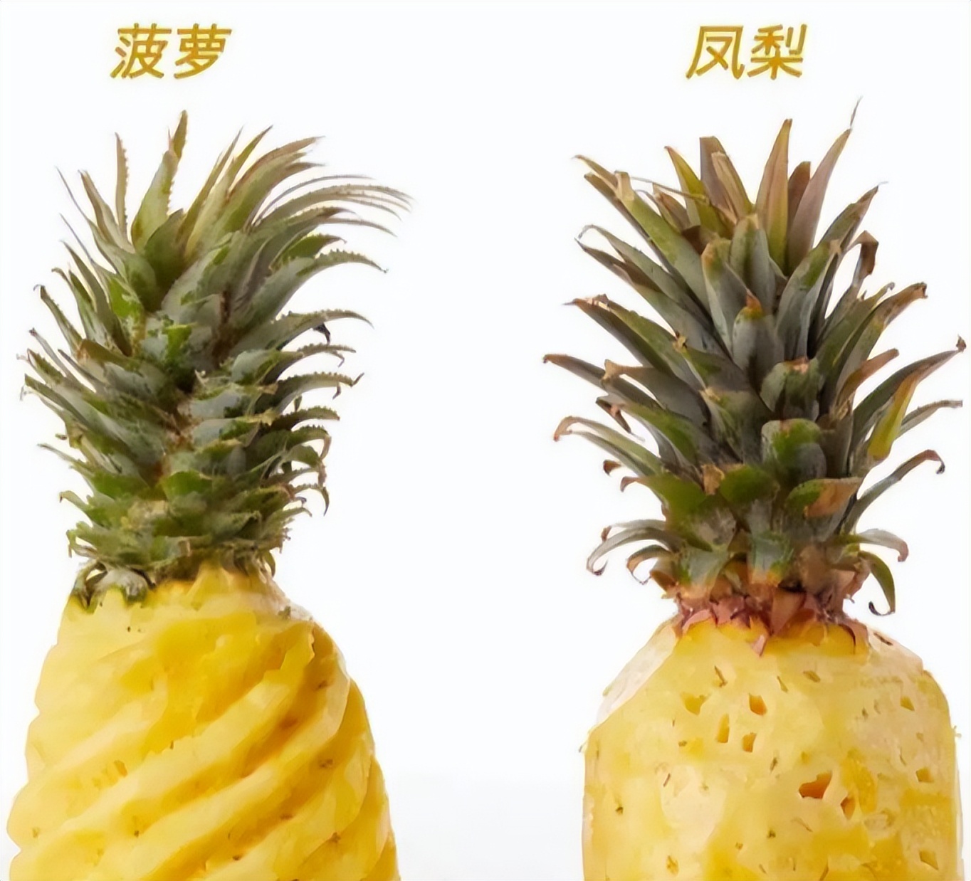 Discover the secret of pineapple - how to eat pineapple more delicious ...