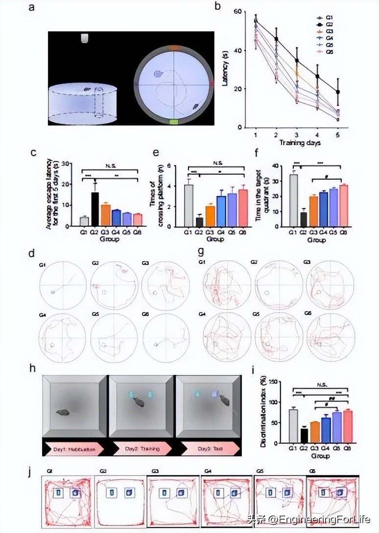 A multifunctional nanocarrier system for efficient targeted drug ...