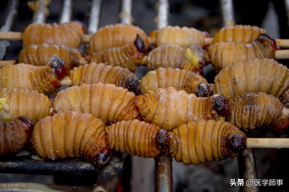 Functional properties and applications of insect proteins. Are insect ...