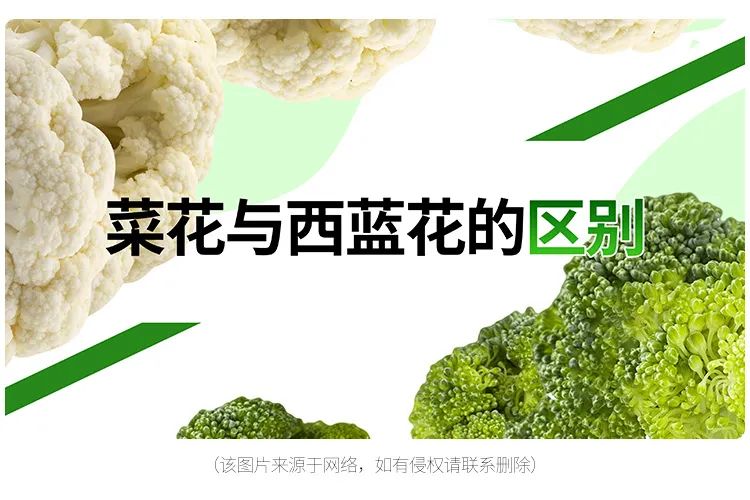 The difference between cauliflower and broccoli iNEWS