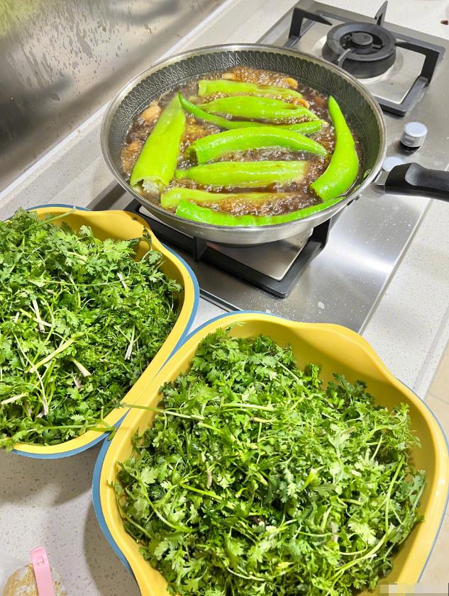 Lin Gengxin shared a pot of stewed coriander, in response to fans