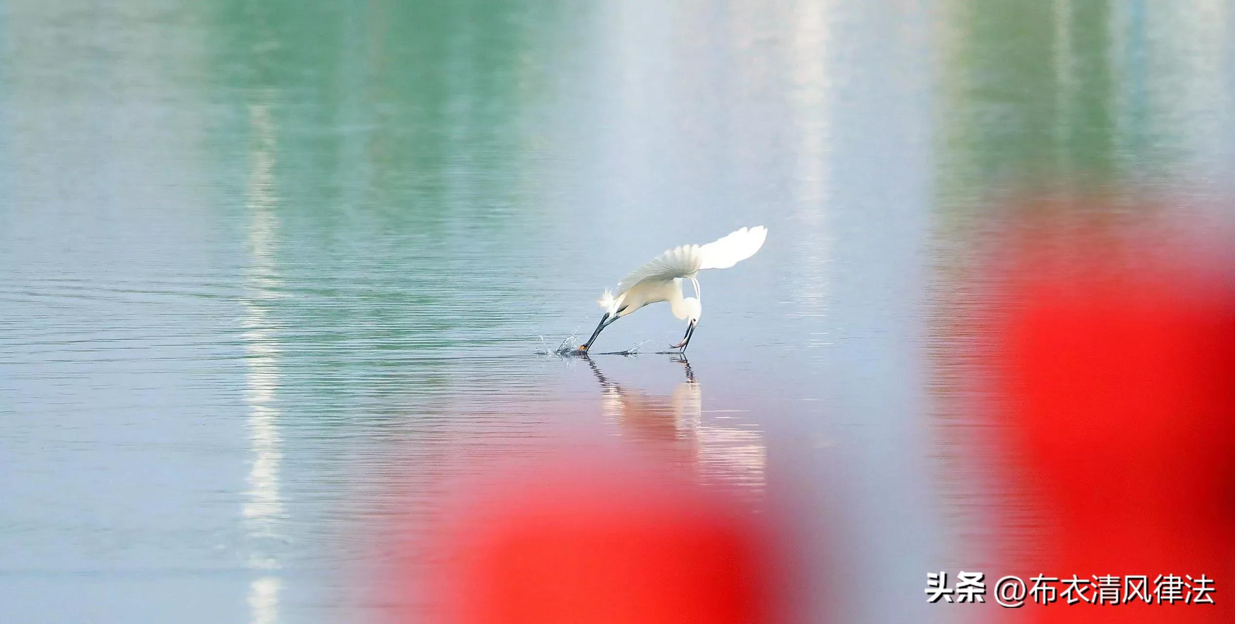 The woman went out for 4 years to a strange boy, and then cheated on a