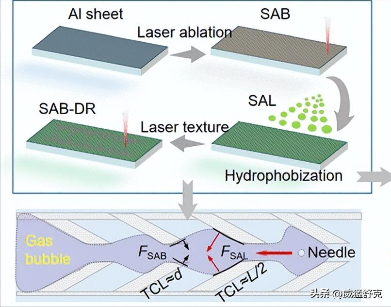 Overcoming the long-distance unidirectional transport problem of ...