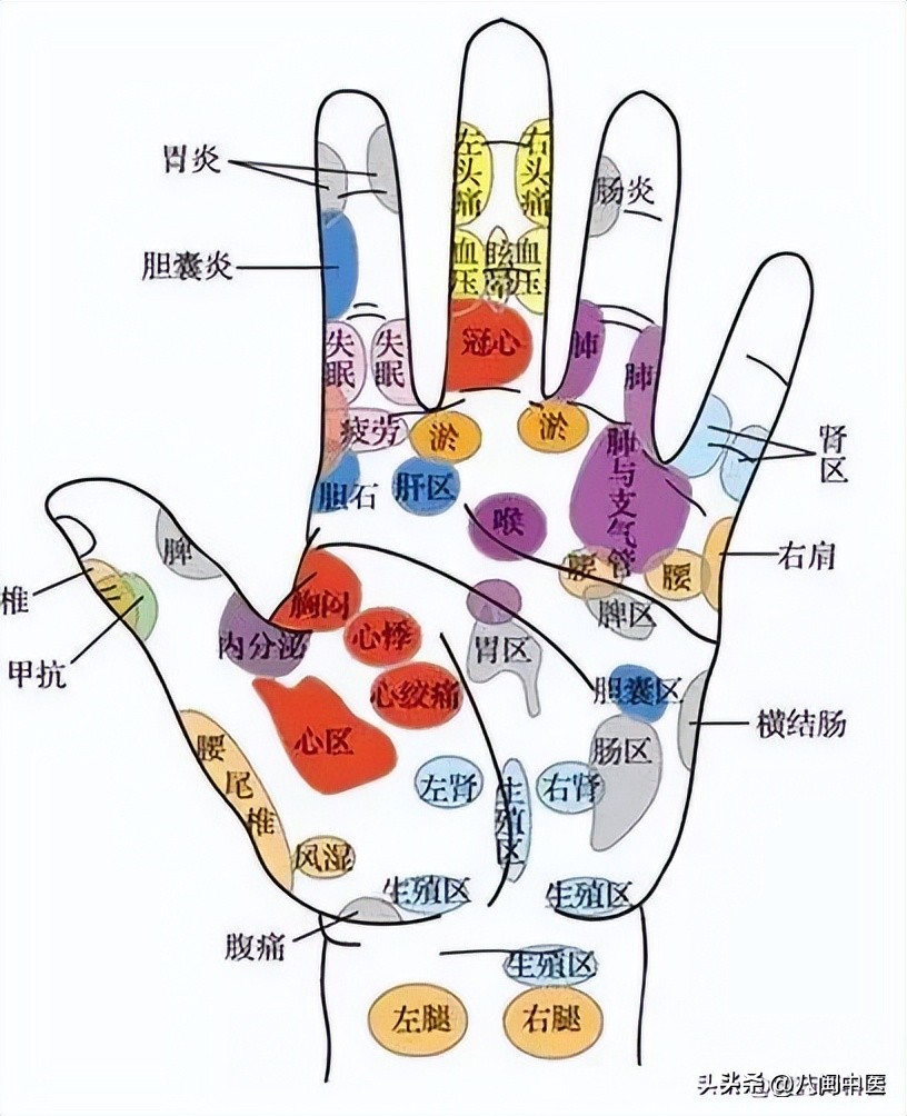 Human body holographic reflection area hand diagnosis map + hand ...
