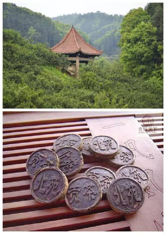 Inheritance and development of Beiyuan tea culture - iMedia