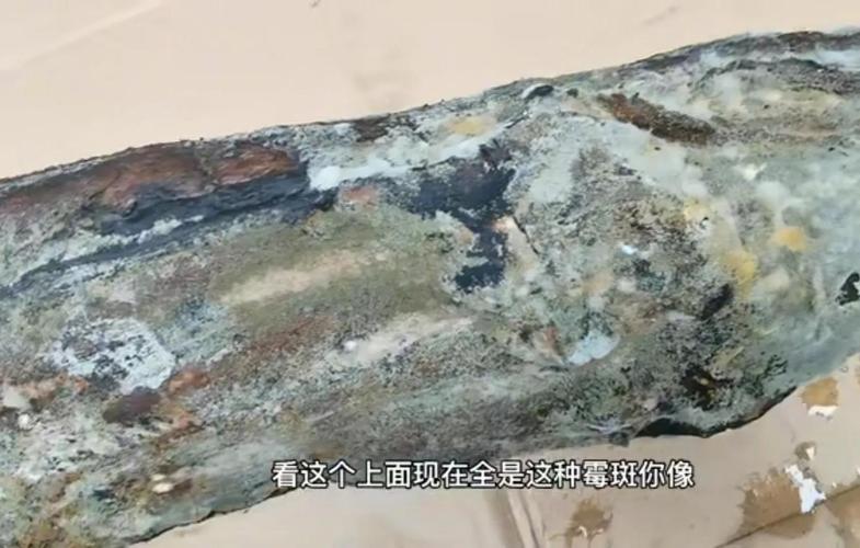 Is bacon covered with mold still edible? iNEWS