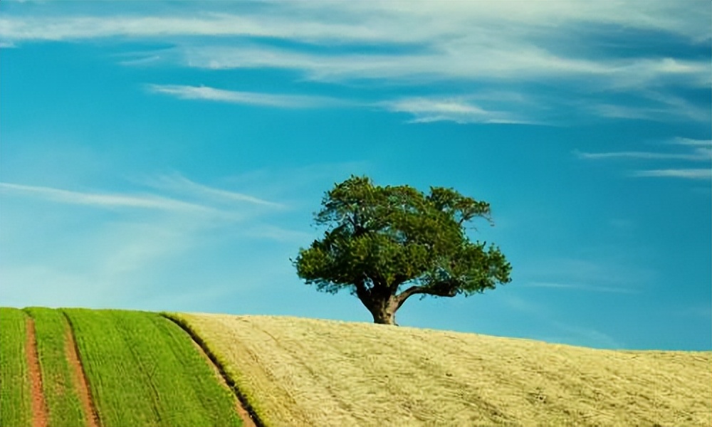 How many outfits should the bride wear? iNEWS