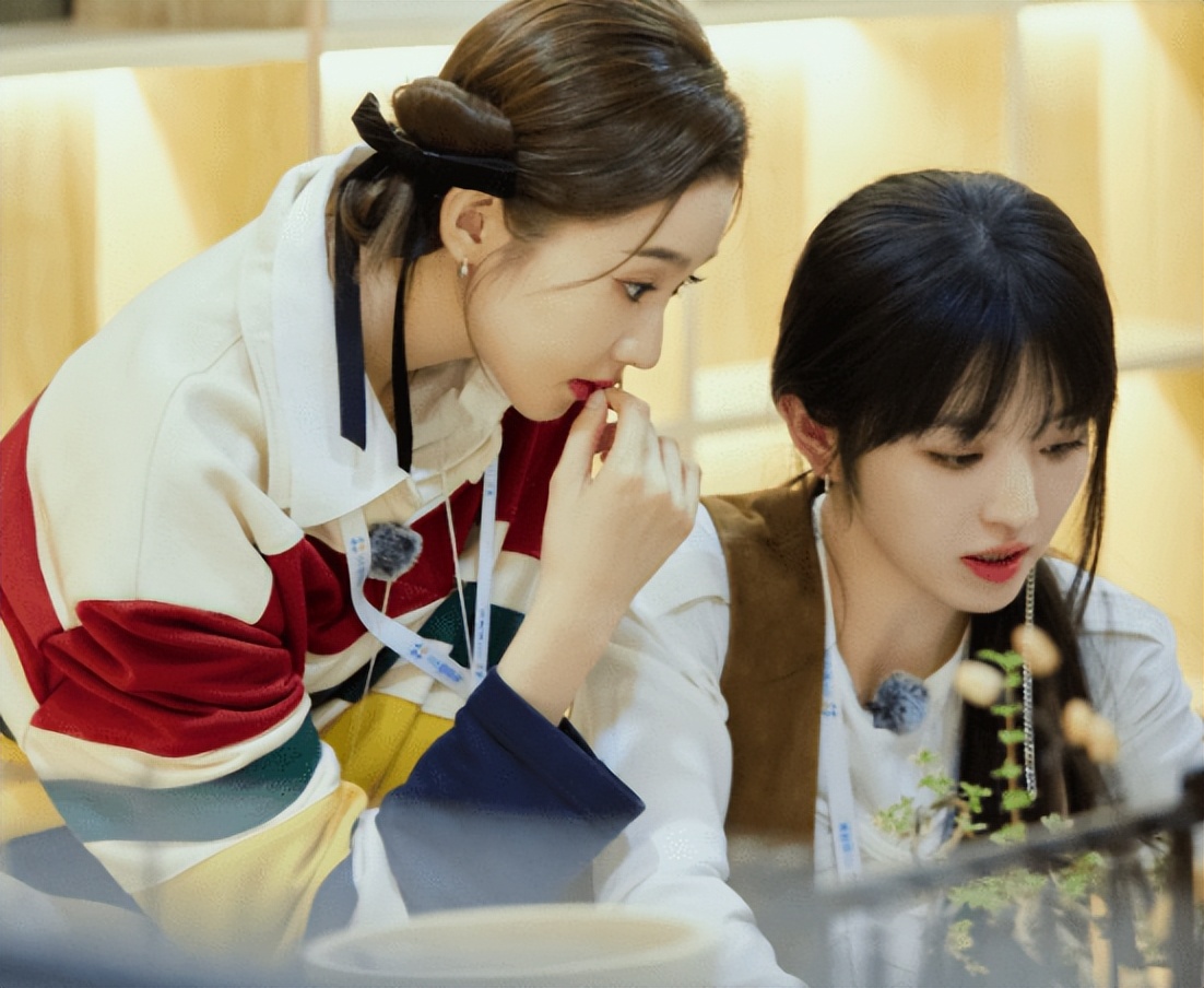 "Women's Reasoning Club": Qi Wei "pulls sister" upper body, Li Xueqin ...