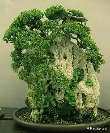 What are the aesthetic standards of regular script? - iNEWS