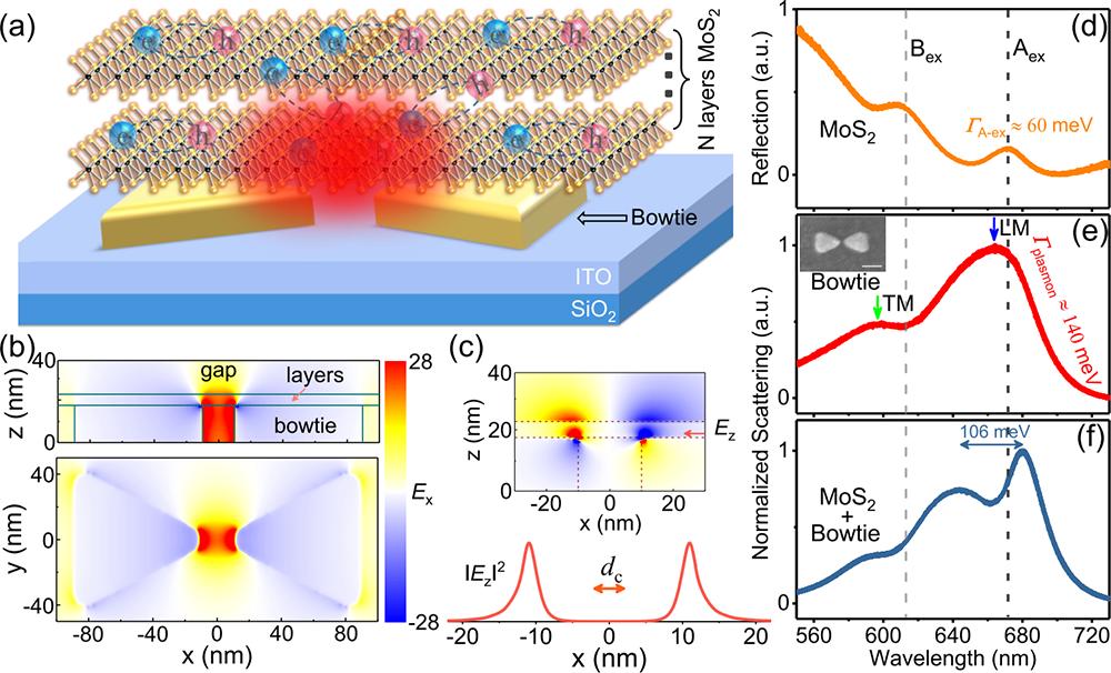 New progress in strong coupling between two-dimensional semiconductor ...