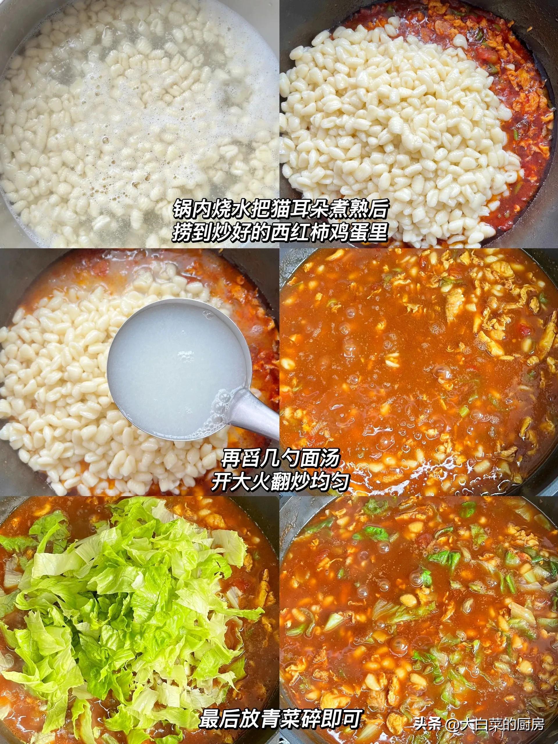 Our family has to eat this cat noodle every three to five times