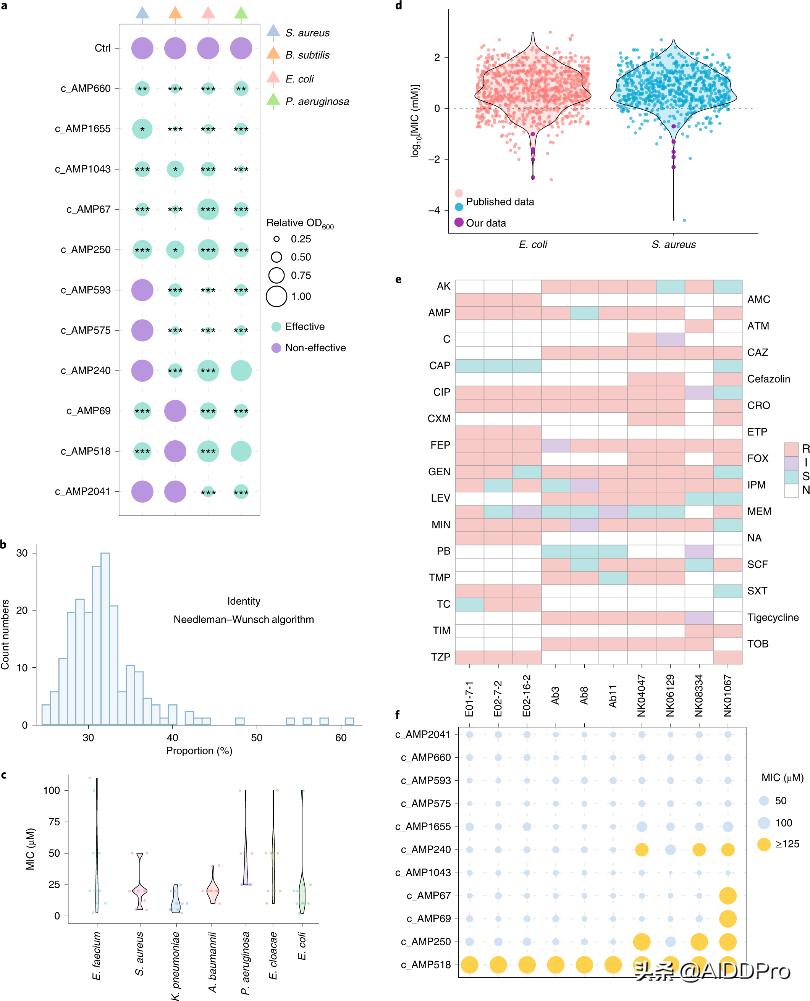 Identification Of Antimicrobial Peptides From The Human Gut Microbiome ...