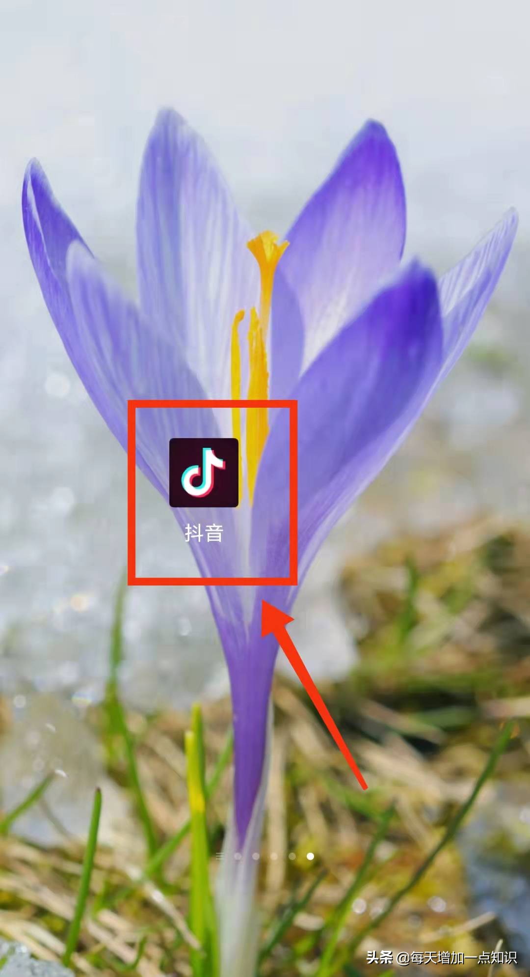 how-to-clear-viewing-history-on-tiktok-inews