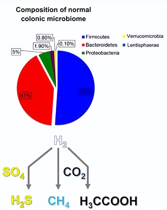 What is the effect of intestinal gas, and how does diet affect it? iMedia