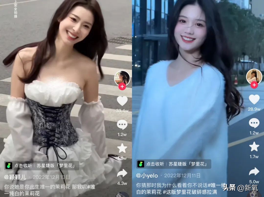 Jing Tian, Li Fuzhen, Chen Hong, He Chaoqiong, Zhang Xiaohui, who is ...