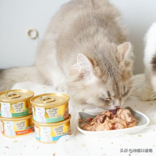 The world of canned food in China is crazy, and it sells well in more