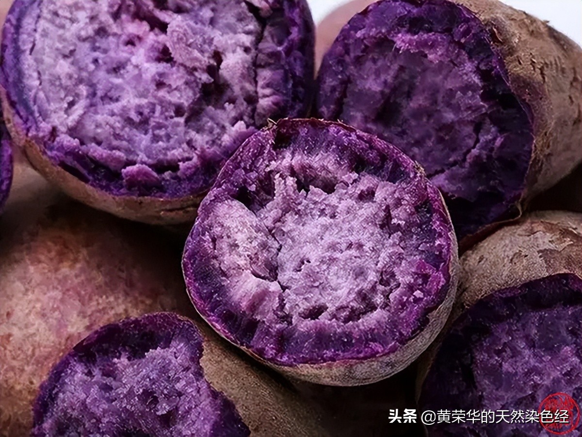 Chinese traditional color: taro purple - iNEWS