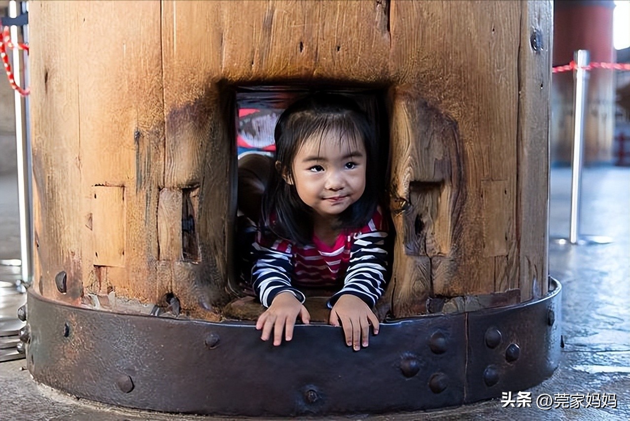 Why do babies like to rummage, drill holes and climb high?It's not