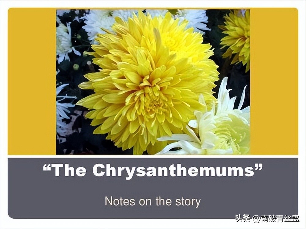 Viewing Feminism from Steinbeck's Chrysanthemum iMedia