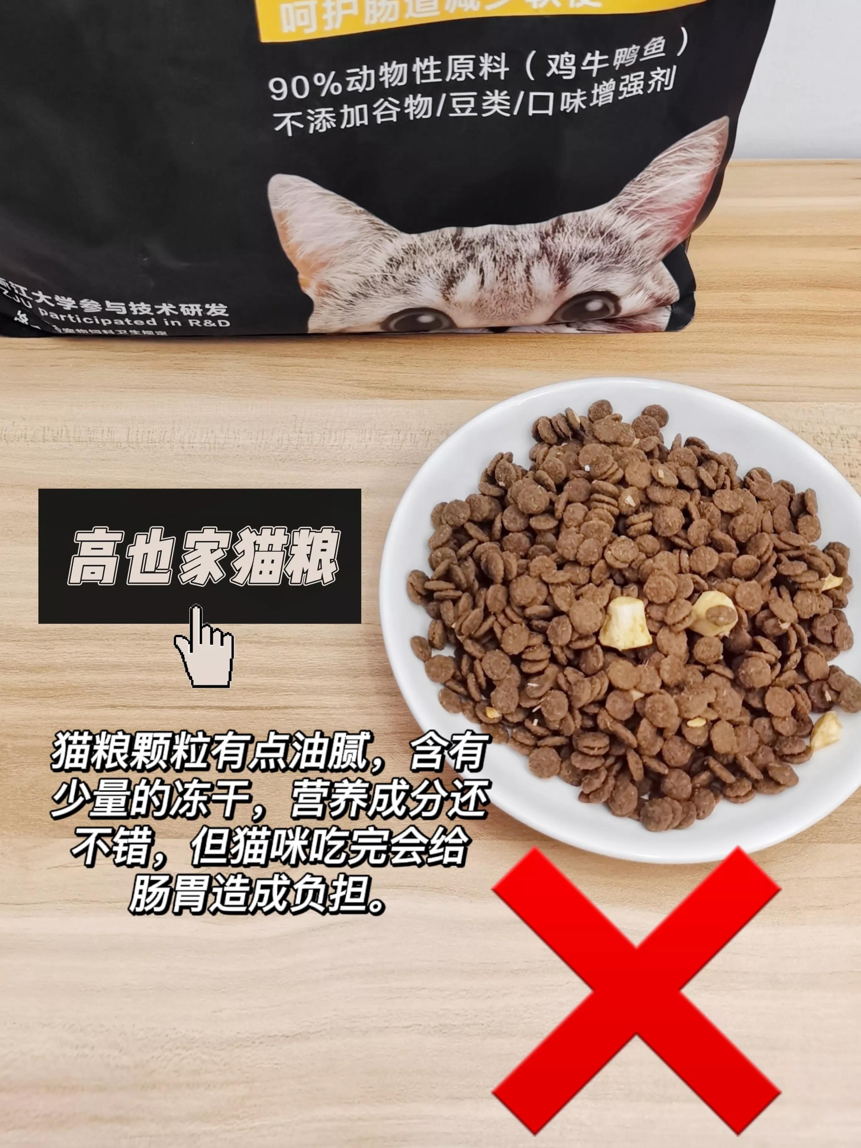How to choose the right cat food for cats in different months? iNEWS