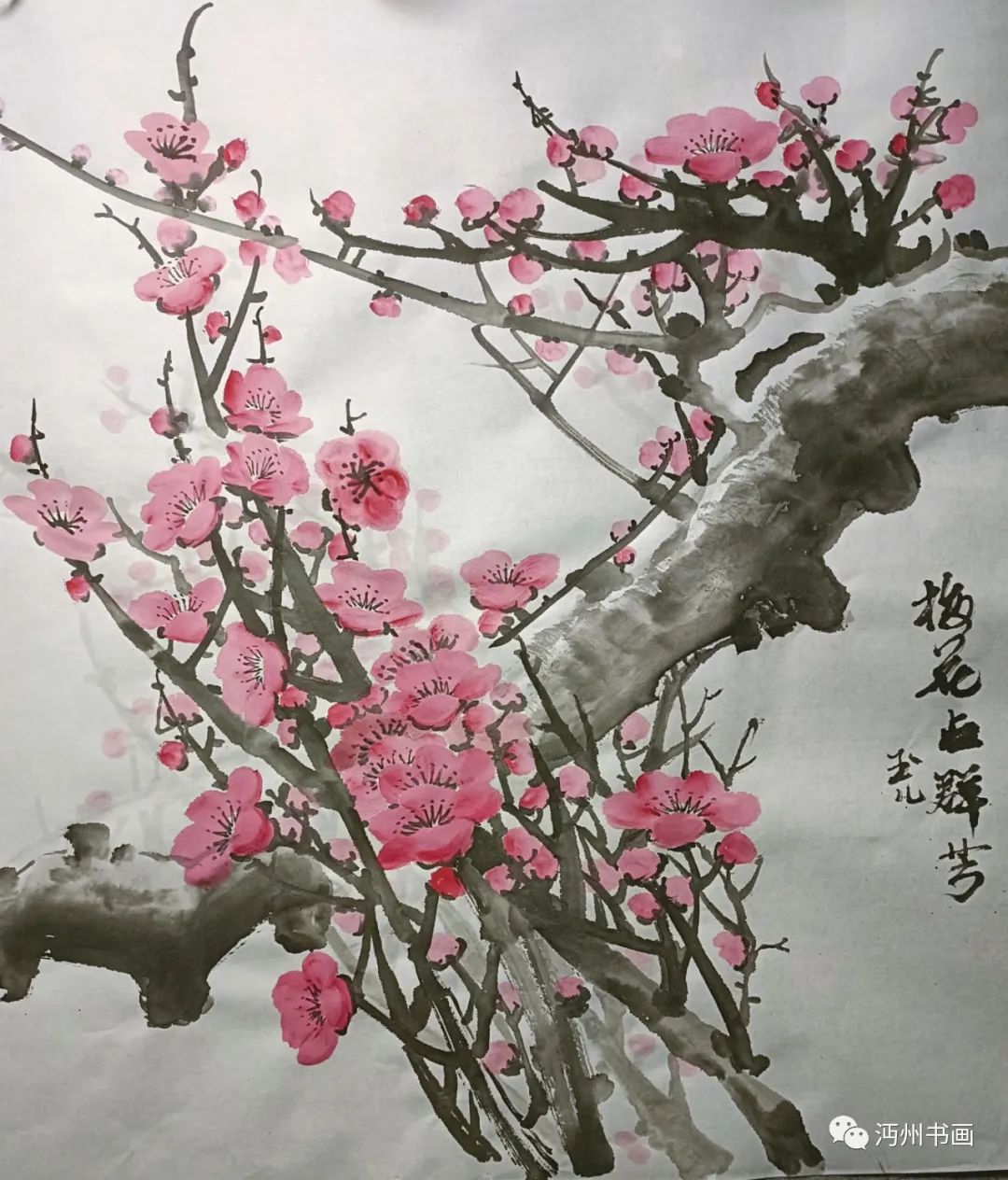 Appreciation of works of plum blossoms by Zhan Guoqiong - iMedia