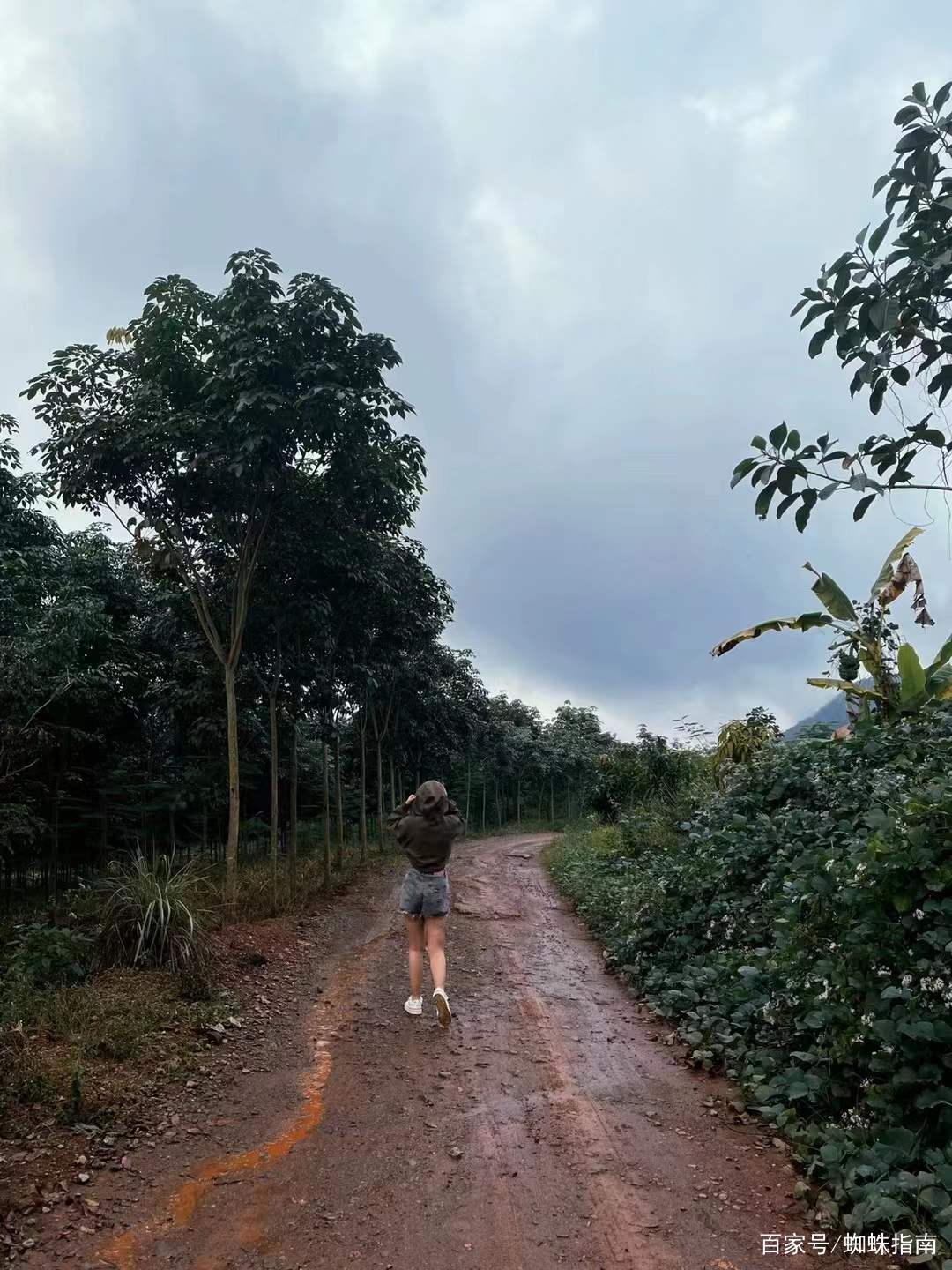 Visit Manyuan Village, Xishuangbanna's simple folk customs, this ...