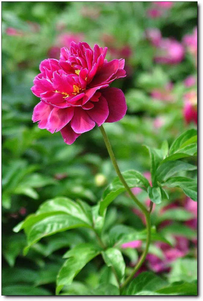 What does the catchphrase "everything on the road of red dust is like