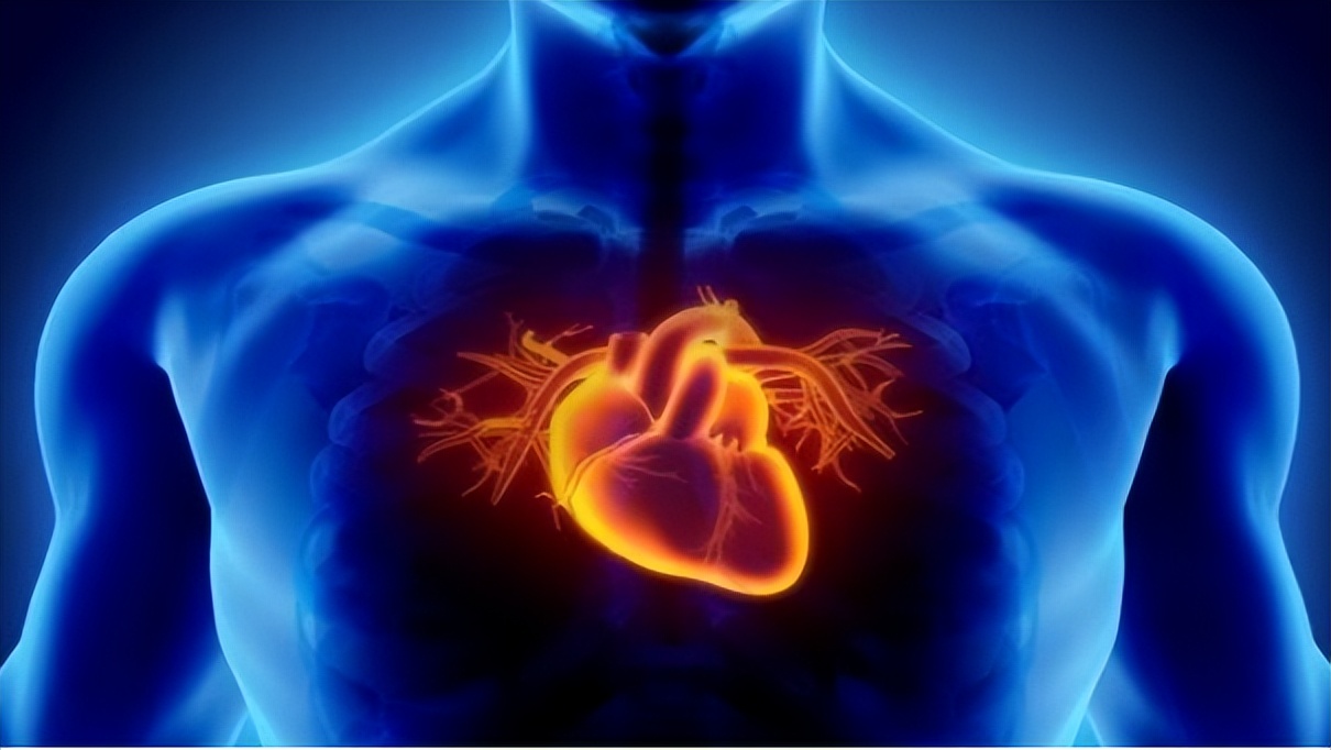 Does heart rate affect life expectancy?2 million pieces of data studied ...