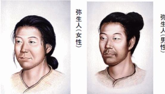 Are the Japanese descendants of the Han Chinese?The results of a study ...