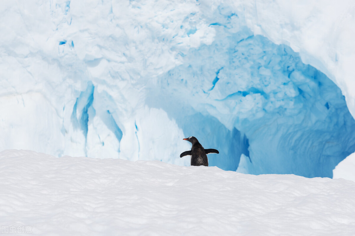 Which is colder, South Pole or North Pole? iNEWS