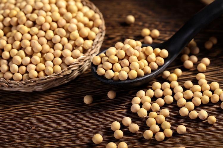 People with bad thyroid can't eat soy?Doctor These 3 things really