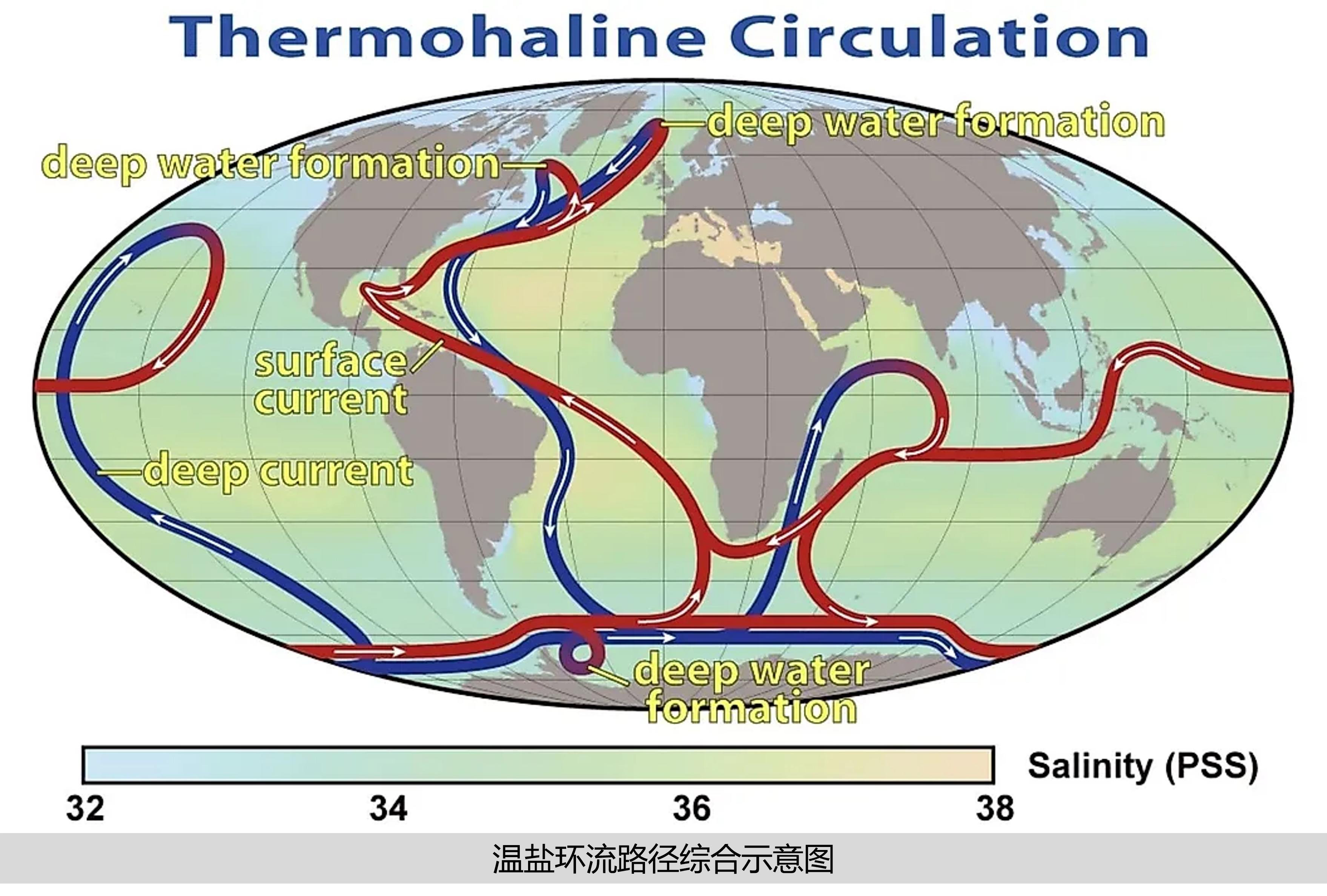 What is an ocean conveyor belt? What effect does the global ocean