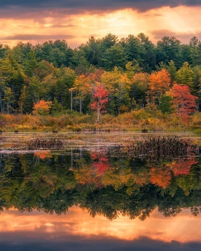 Should people sleep in separate beds in their old age? 4 reasons why