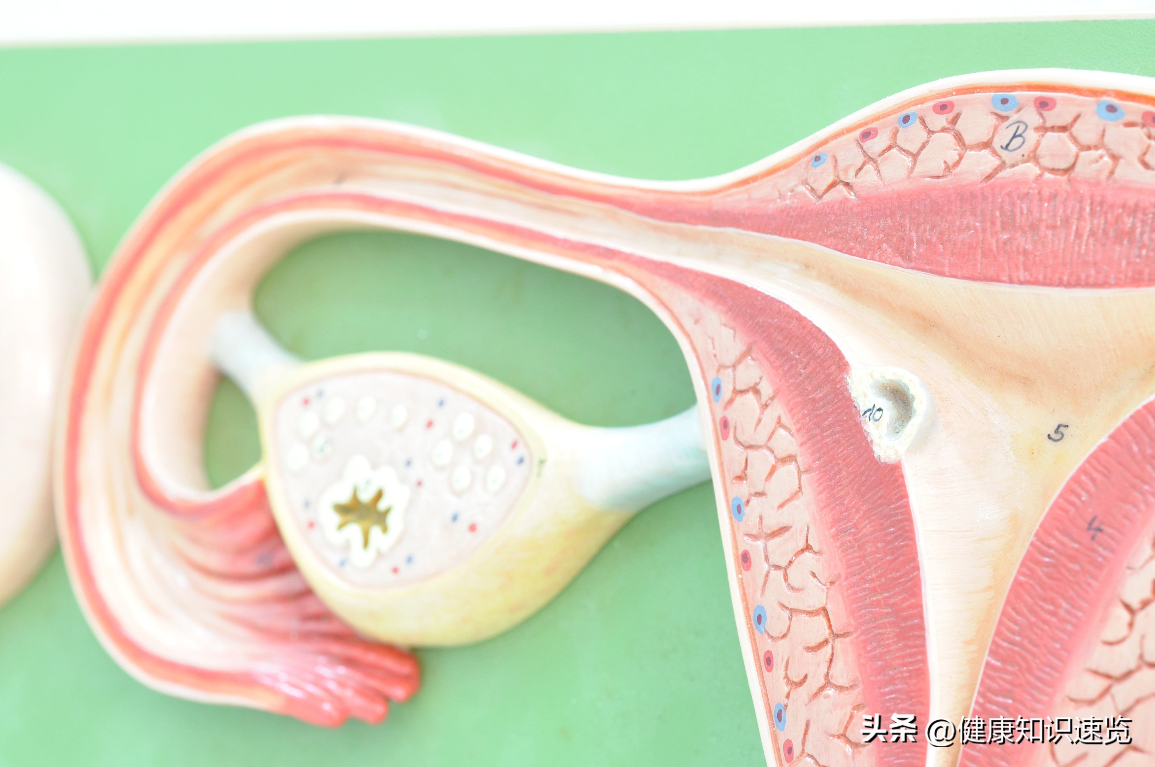 A well-known research institution recommends that women who have ...